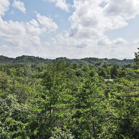 Pet-Friendly Smoky Mountain Retreat With Game Room! Sevierville Exterior foto
